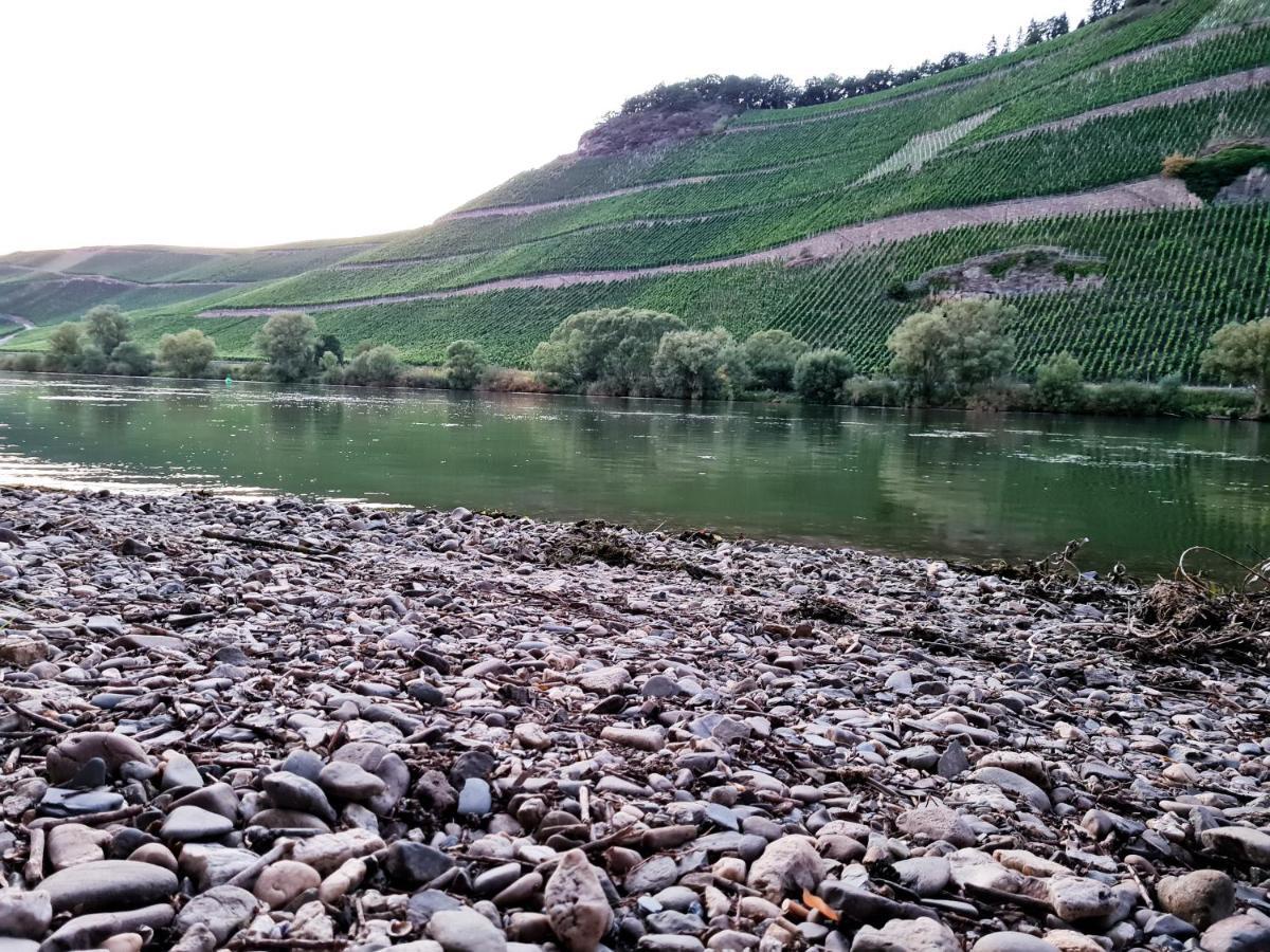 Fewo Sonnenlay - Apartments An Der Mosel Браунеберг Экстерьер фото