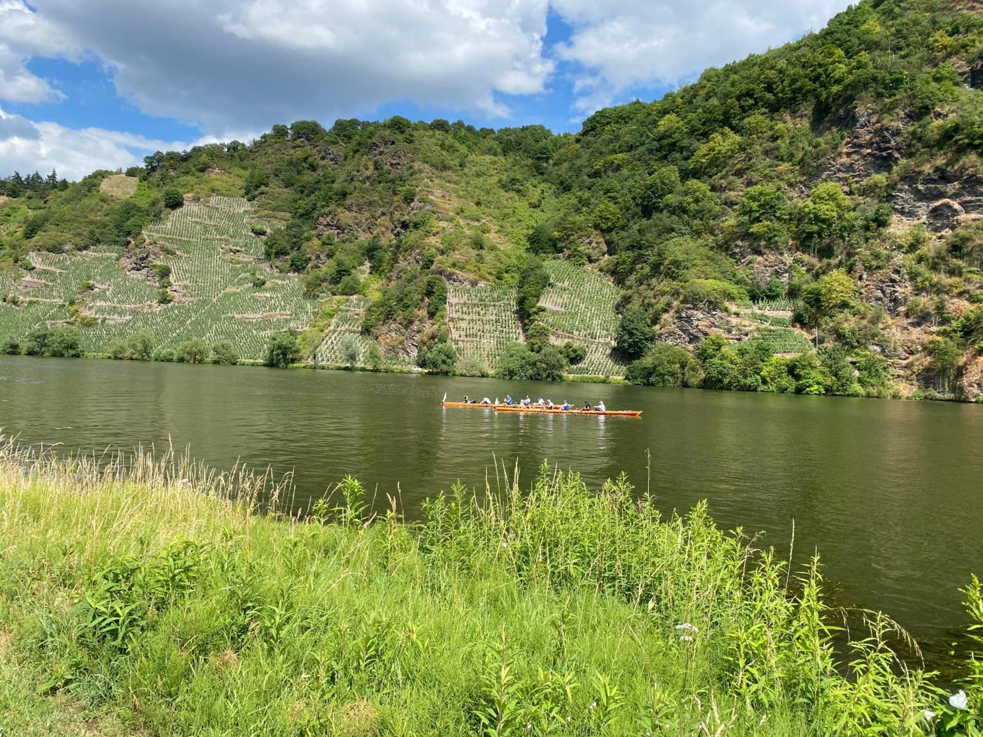 Fewo Sonnenlay - Apartments An Der Mosel Браунеберг Экстерьер фото
